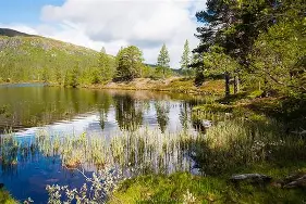 Fin bild på en sjö